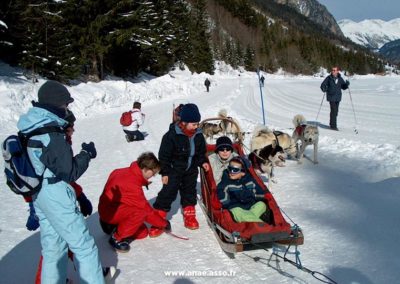 Balade avec des chiens de traîneaux