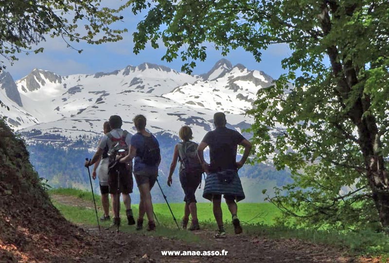 Groupe d'amis en train de randonner à la montagne lors d'un séjour individuels