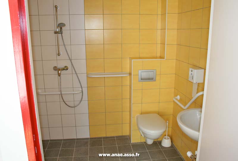 Exemple de salle-de-bain adaptée aux personnes à mobilité réduite avec barres de maintien et douche italienne
