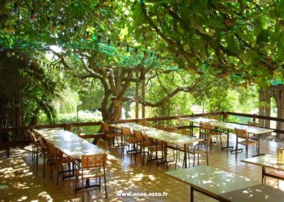 Terrasse de la villa Costebelle à Hyères