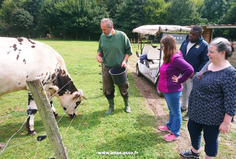 Séjour adapté jeune handicap mental à Jambville près de Paris. Visite de la ferme pédagogique à Mantes la Ville. Deux enfants observent une vache en train de manger.