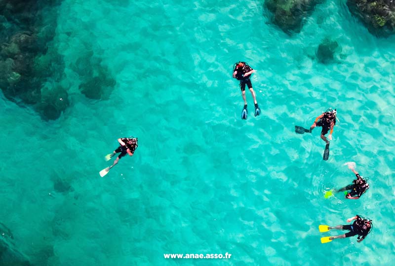 Stage club de plongée à la mer. Groupe de plongeurs dans l'eau. Séjour sportif Anaé vacances