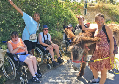 Séjour adapté PMR handicap Anaé Vacances à Jambville l'été 2022. Des vacanciers en fauteuil roulant et des animatrices à côté d'un âne.