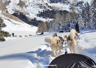 Sortie en chiens de traîneaux à Pralognan-la-Vanoise lors d'un séjour adapté handicap avec l'association Anaé Vacances