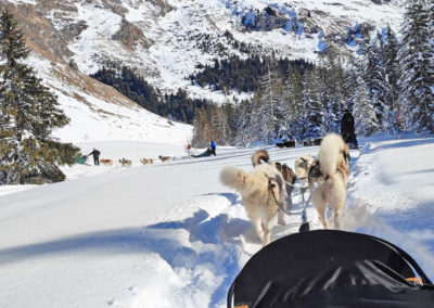 Sortie en chiens de traîneaux à Pralognan-la-Vanoise lors d'un séjour adapté handicap avec l'association Anaé Vacances