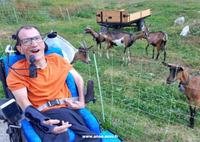 Un vacancier en fauteuil roulant à côté de chèvres lors d'un séjour adapté en Savoie