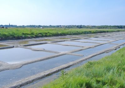 Les marais salants de Guérande