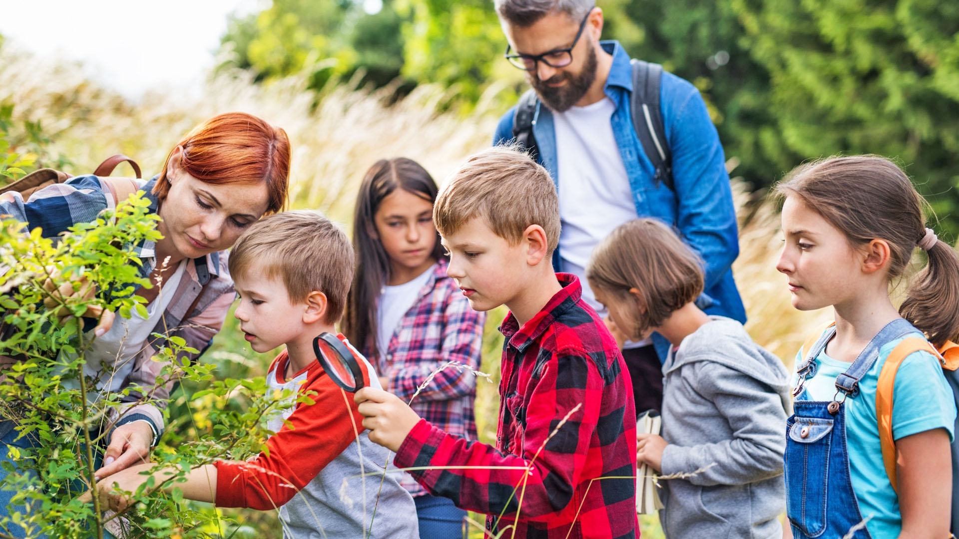 Classe découverte à la mer ou à la montagne avec Anaé Vacances. Des élèves de primaire observent des plantes à la loupe avec leurs professeurs.