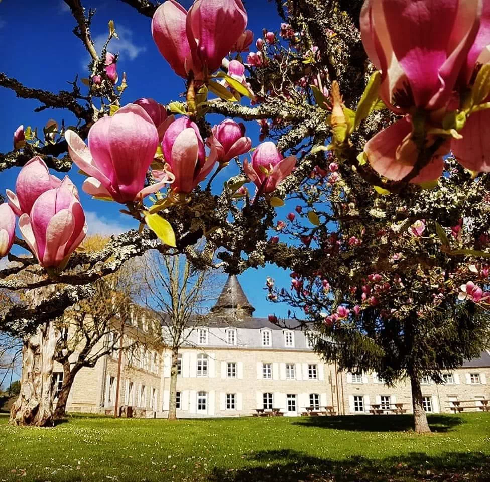 Vue sur le château avec le magnola du domaine de la Porte Neuve à Riec-sur-Bélon en Bretagne