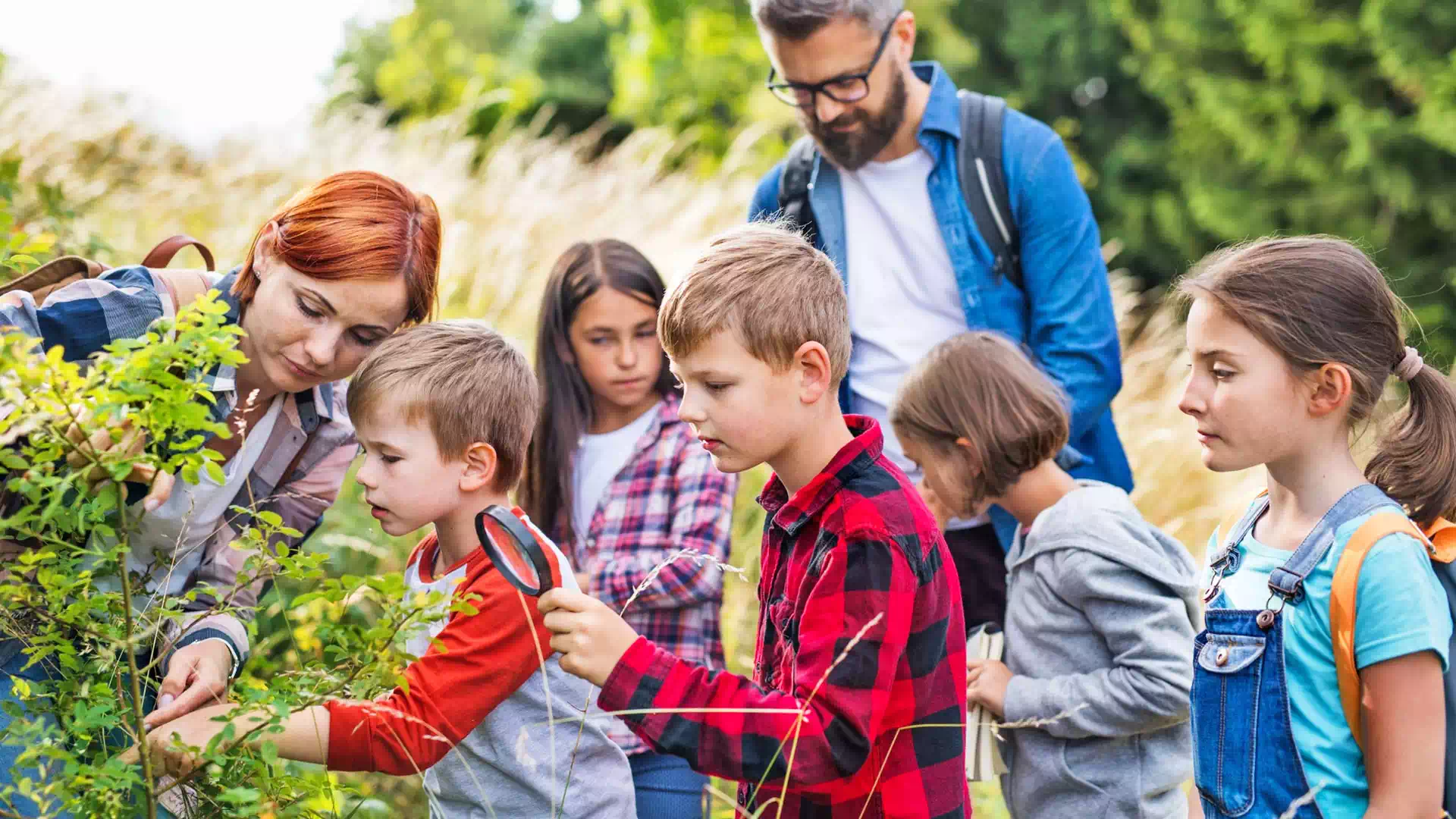 image-en-tete-classes-decouvertes-anae-vacances-1920x1080-1 Classe découverte à la mer ou à la montagne avec Anaé Vacances. Des élèves de primaire observent des plantes à la loupe avec leurs professeurs.